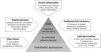 Endothelial Dysfunction in Psoriasis: An Updated Review